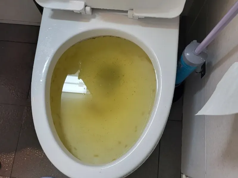 서천 변기막힘 작업 현장